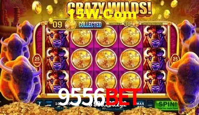 9556Bet Salvador - Football