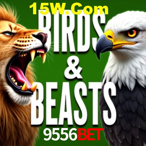 Apostas Esportivas na 9556Bet: Um Guia Completo