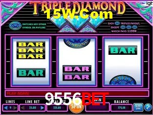 9556Bet - User Statistics